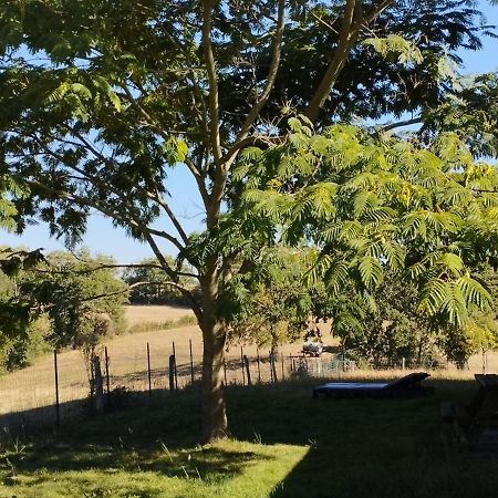 Gite L'Esprit Nature Naucelle 外观 照片