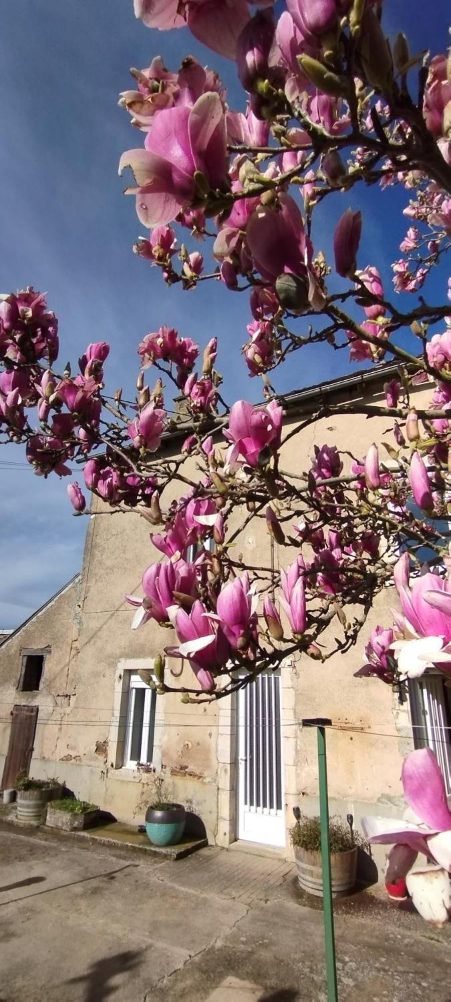 Gite L'Esprit Nature Naucelle 外观 照片