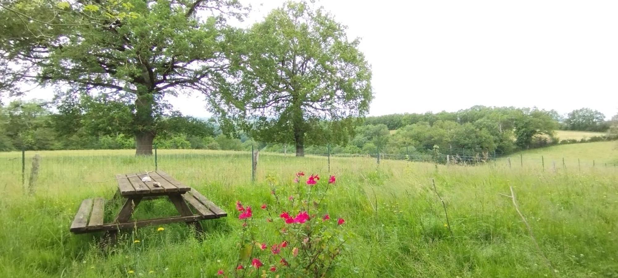 Gite L'Esprit Nature Naucelle 外观 照片